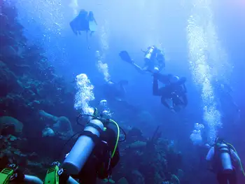 Divers