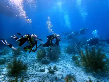 Divers