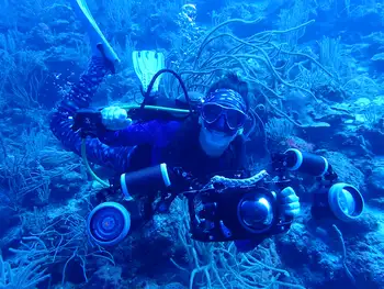 Diver