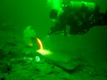 Wolf Eel