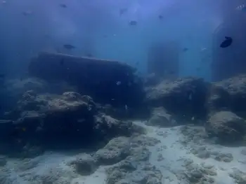 Reef