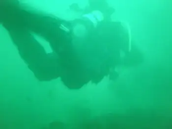 Diver