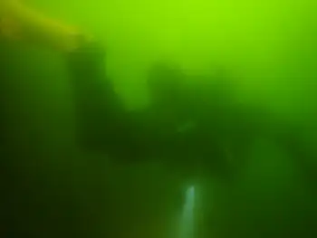 Diver