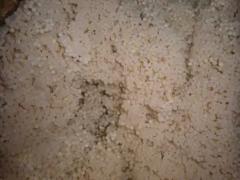 Eggs Lingcod