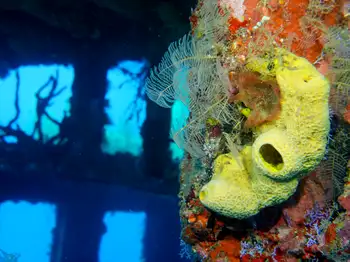 Ship Wreck