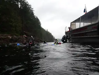 Divers