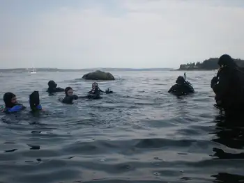 Divers