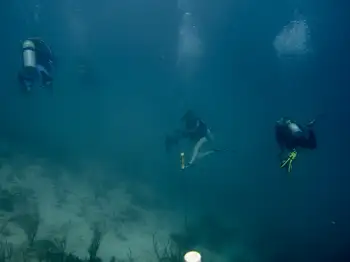 Divers