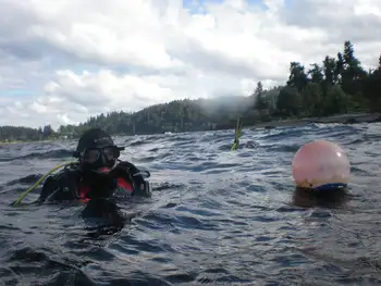 Divers