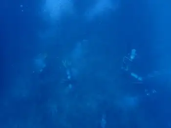 Divers
