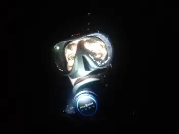 Diver