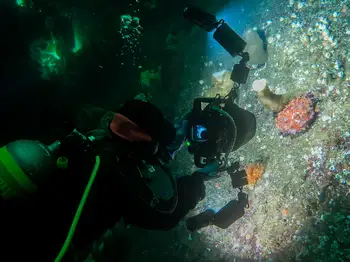 Diver