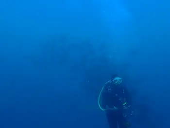 Diver