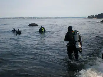 Divers