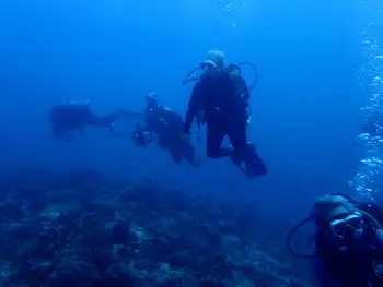 Diver