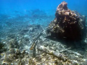 Debris
