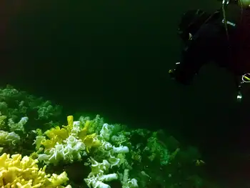 Cloud Sponges