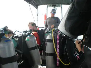 Divers