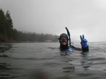 Diver