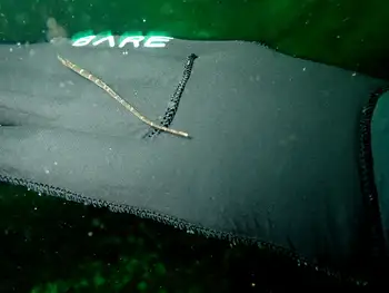 Bay Pipefish