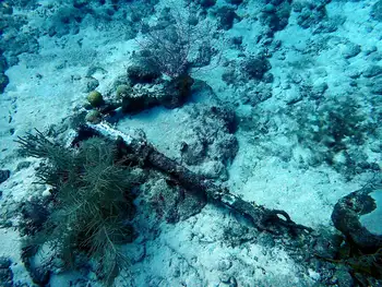 Ship Wreck