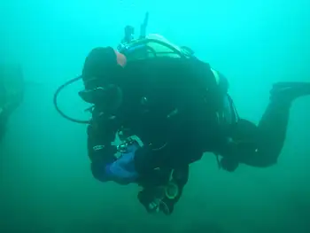 Diver