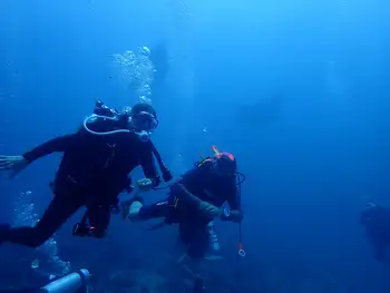 Divers