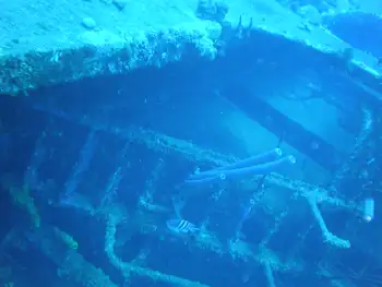 Ship Wreck