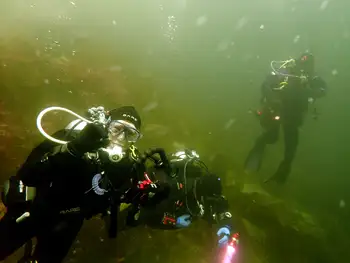 Divers