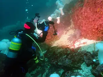 Diver
