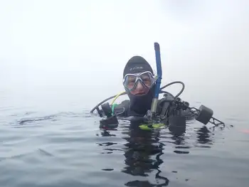 Diver