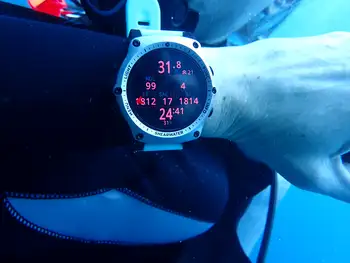 Divers