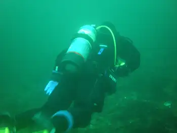 Diver