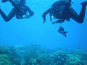 Divers
