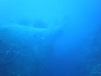 Ship Wreck