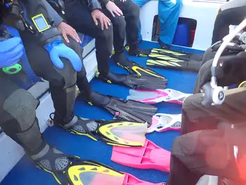 Divers