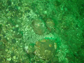Rocks