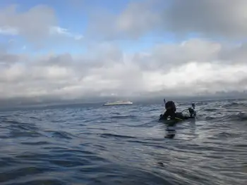 Diver