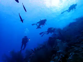 Divers