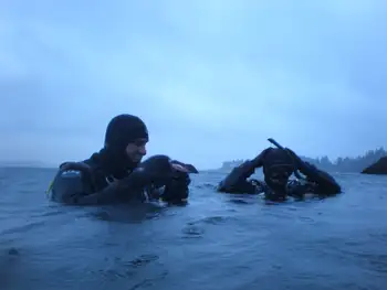 Divers