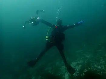 Diver