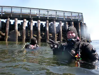 Divers