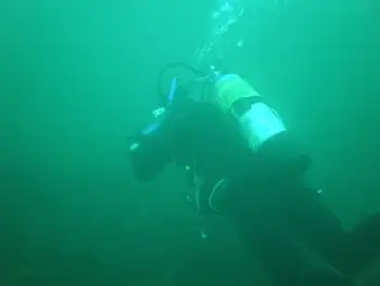 Diver