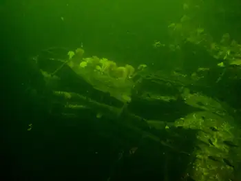 Ship Wreck