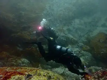 Divers