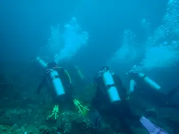 Divers
