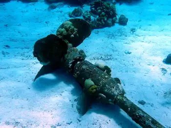 Ship Wreck