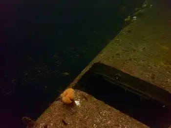 Ship Wreck
