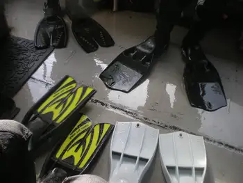 Divers