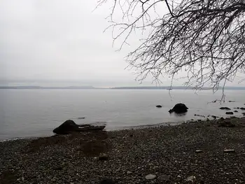 Dive Site